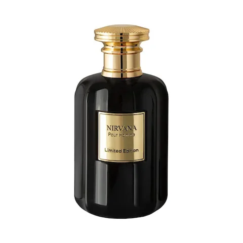 تصویر ادکلن مردانه ROBERTO VIZZARI NIRVANA LIMITED EDITION MEN از برند روبرتو ویزاری