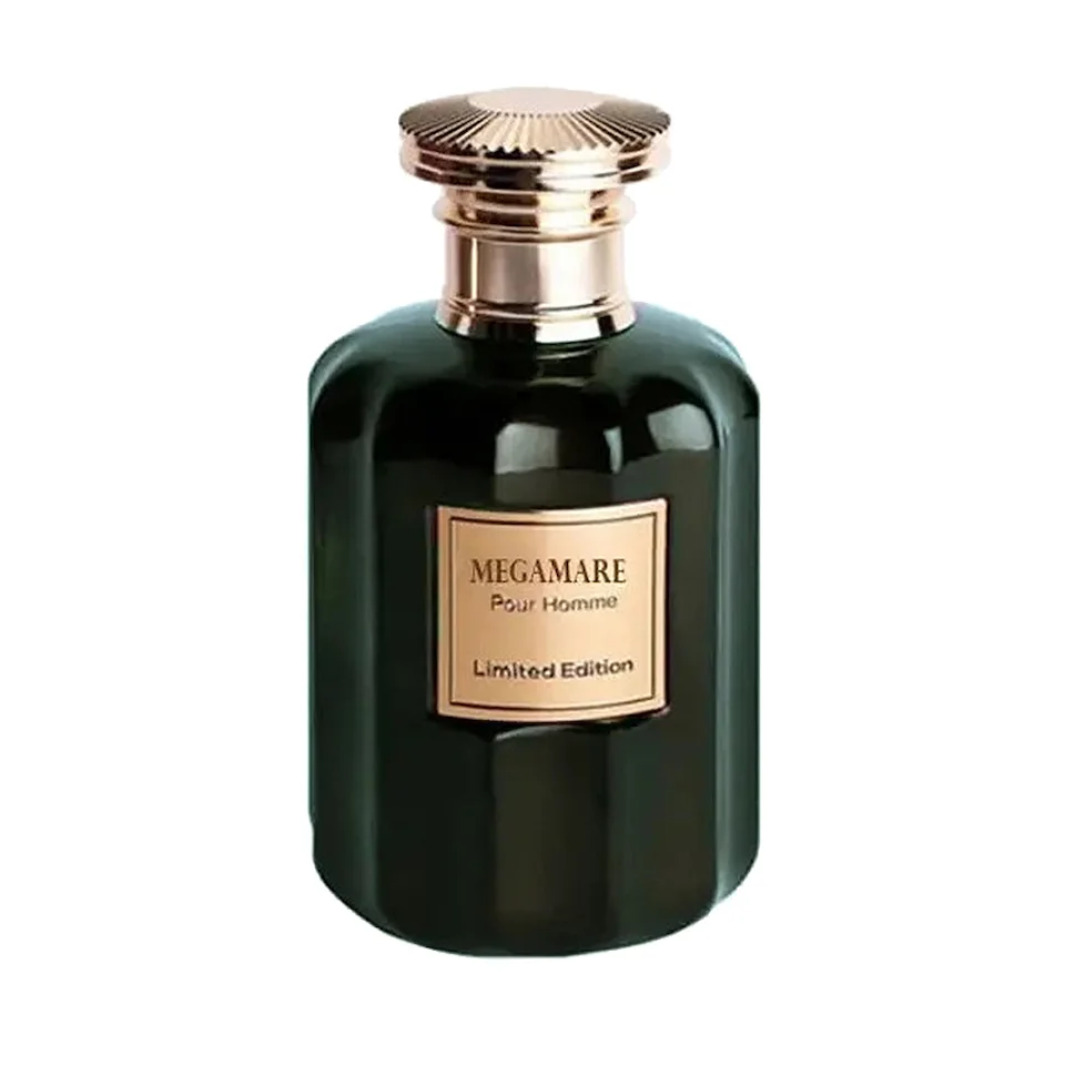 تصویر ادکلن مردانه ROBERTO VIZZARI MEGAMARE LIMITED EDITION MEN از برند روبرتو ویزاری