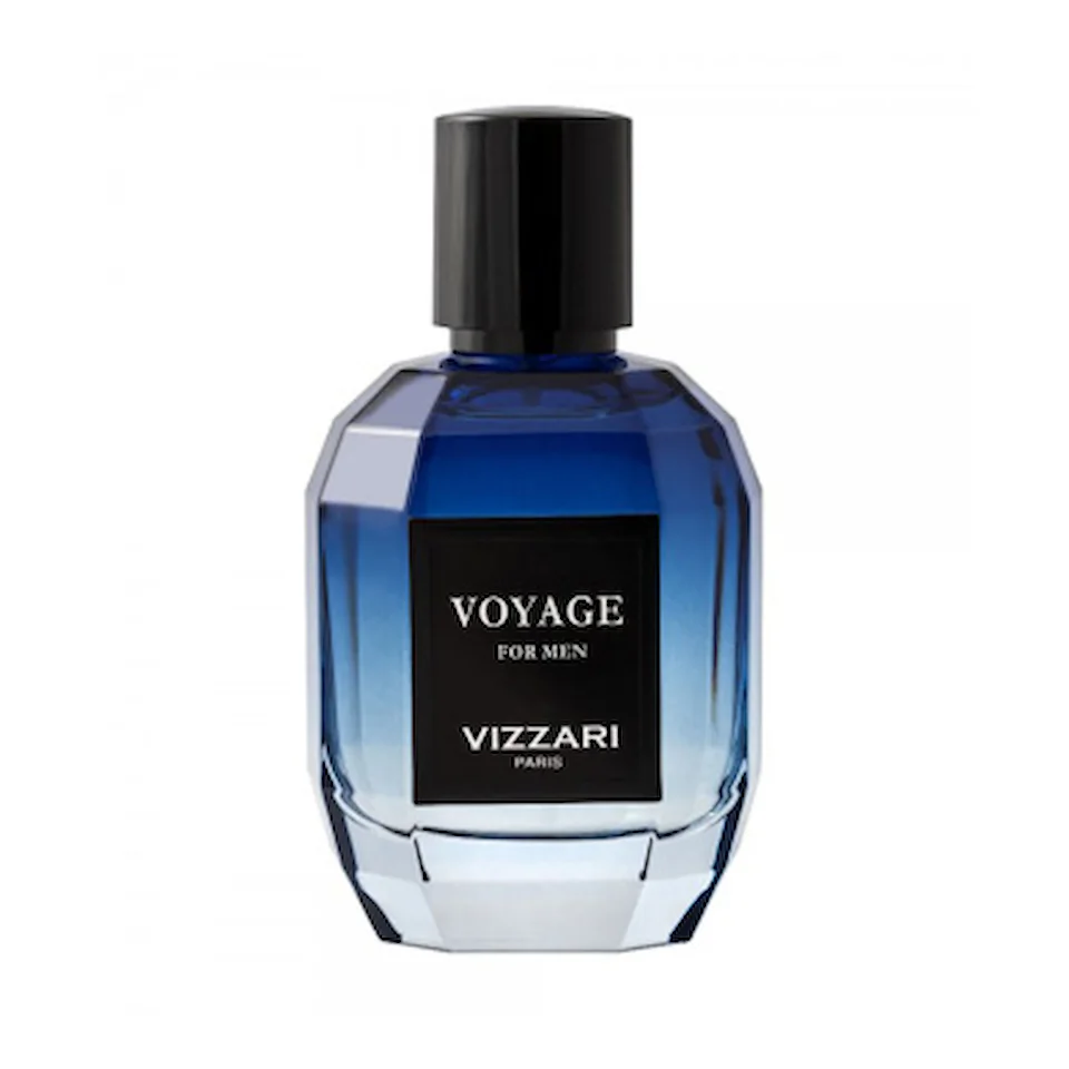 تصویر ادکلن مردانه ROBERTO VIZZARI VOYAGE MEN از برند روبرتو ویزاری