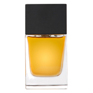ادكلن NOBLE OUD دل لئون